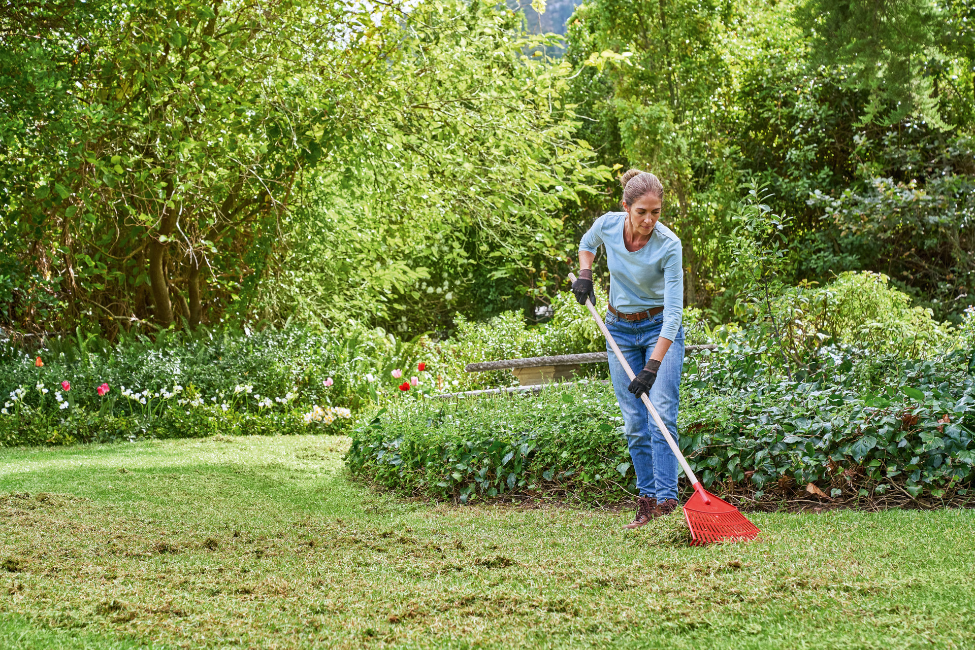 Žena se bavi održavanjem travnjaka u proleće i grabulja pokošenu travu u svojoj bašti